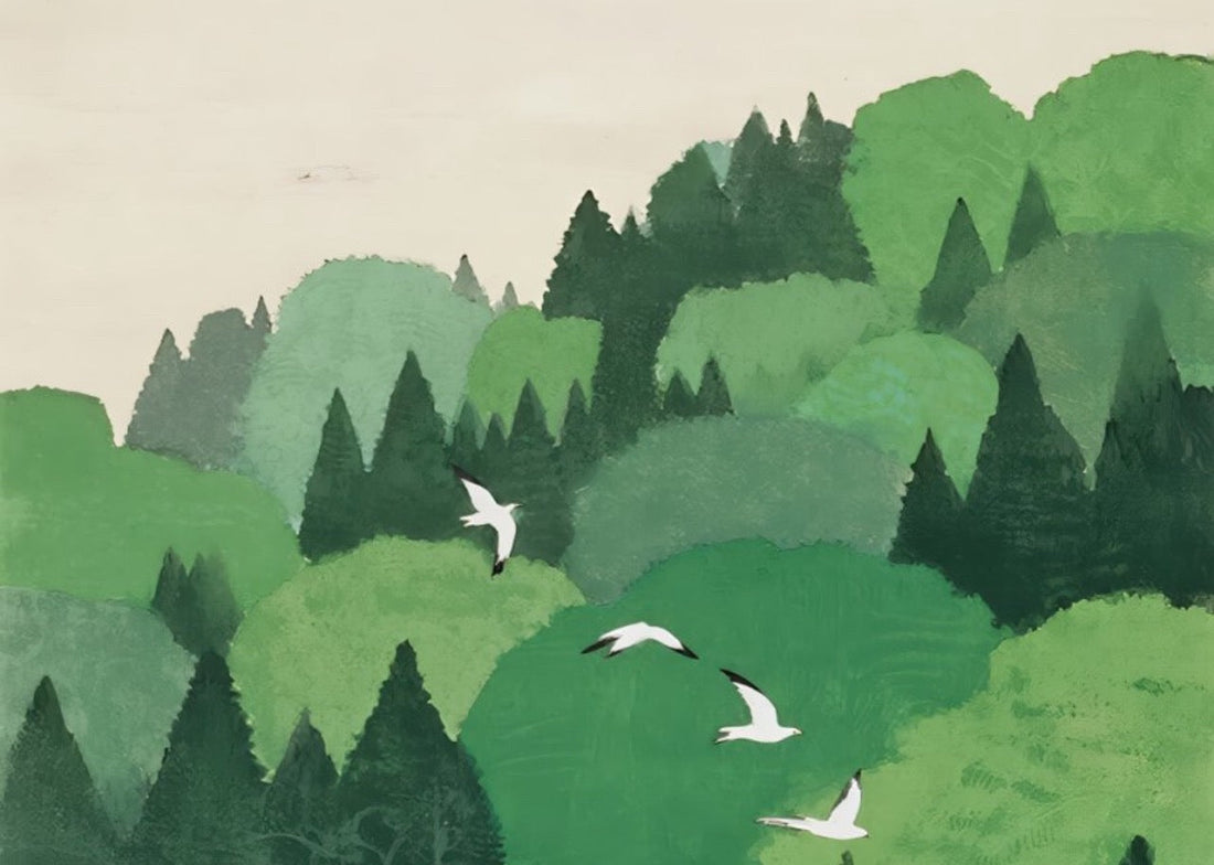 What Truly Matters in Soap Making: Why Our Formula Chooses Coconut-Based Mildness